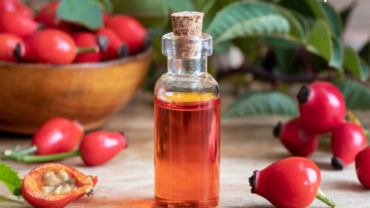 What is Rosehip Oil? – Benefits and Properties, and More