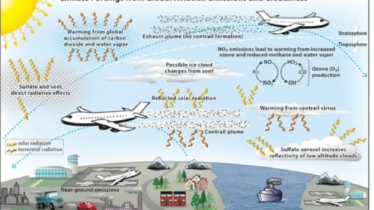 How Environmental Impact Of Aviation?