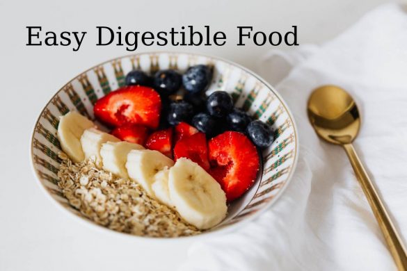 easy digestible food