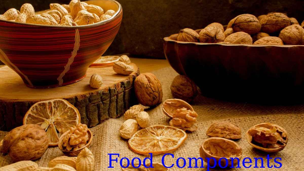 What Are Food Components?