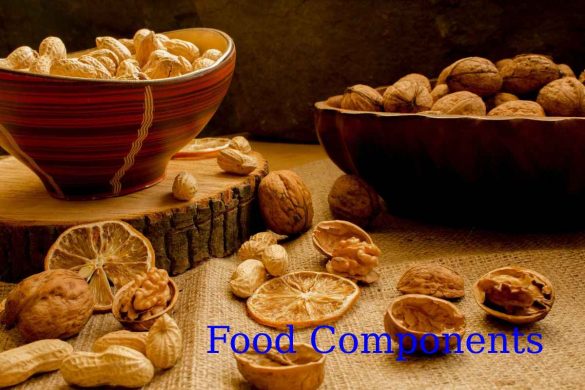 food components