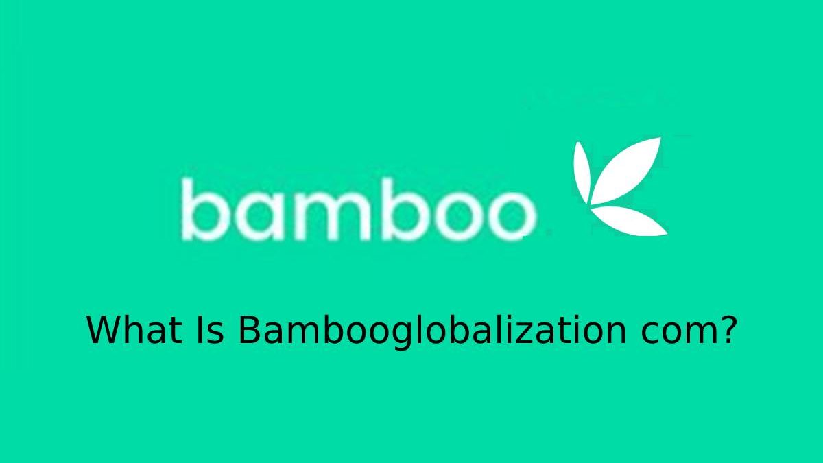 What Is Bambooglobalization com?