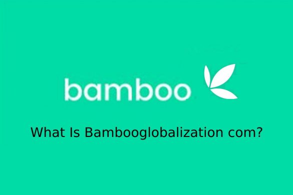 What Is Bambooglobalization com?