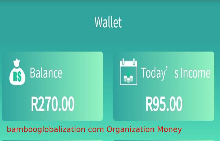 bambooglobalization com Organization Money