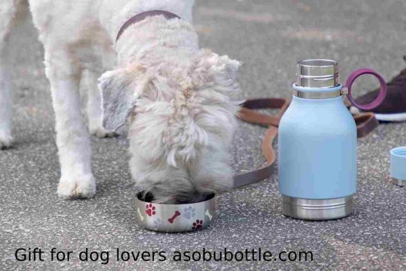 Gift for dog lovers asobubottle.com