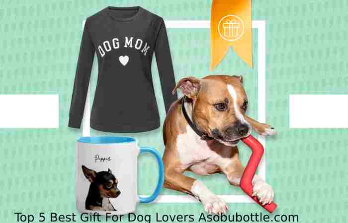 Top 5 Best Gift For Dog Lovers Asobubottle.com