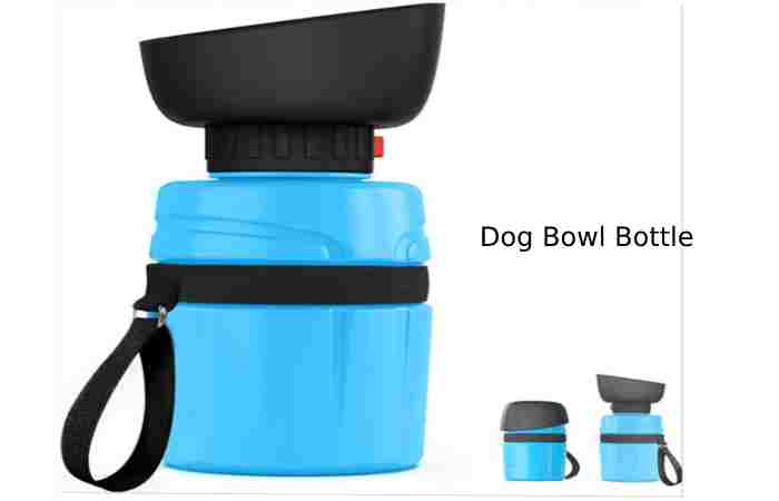 Dog Bowl Bottle Light