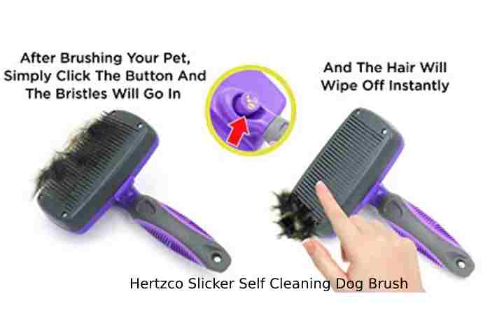 Hertzco Slicker Self Cleaning Dog Brush