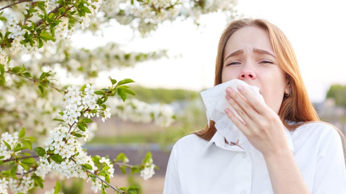 How To Keep Your House Free Of Allergen This Allergy Season?