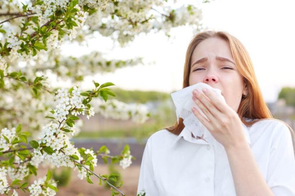 How To Keep Your House Free Of Allergen This Allergy Season?