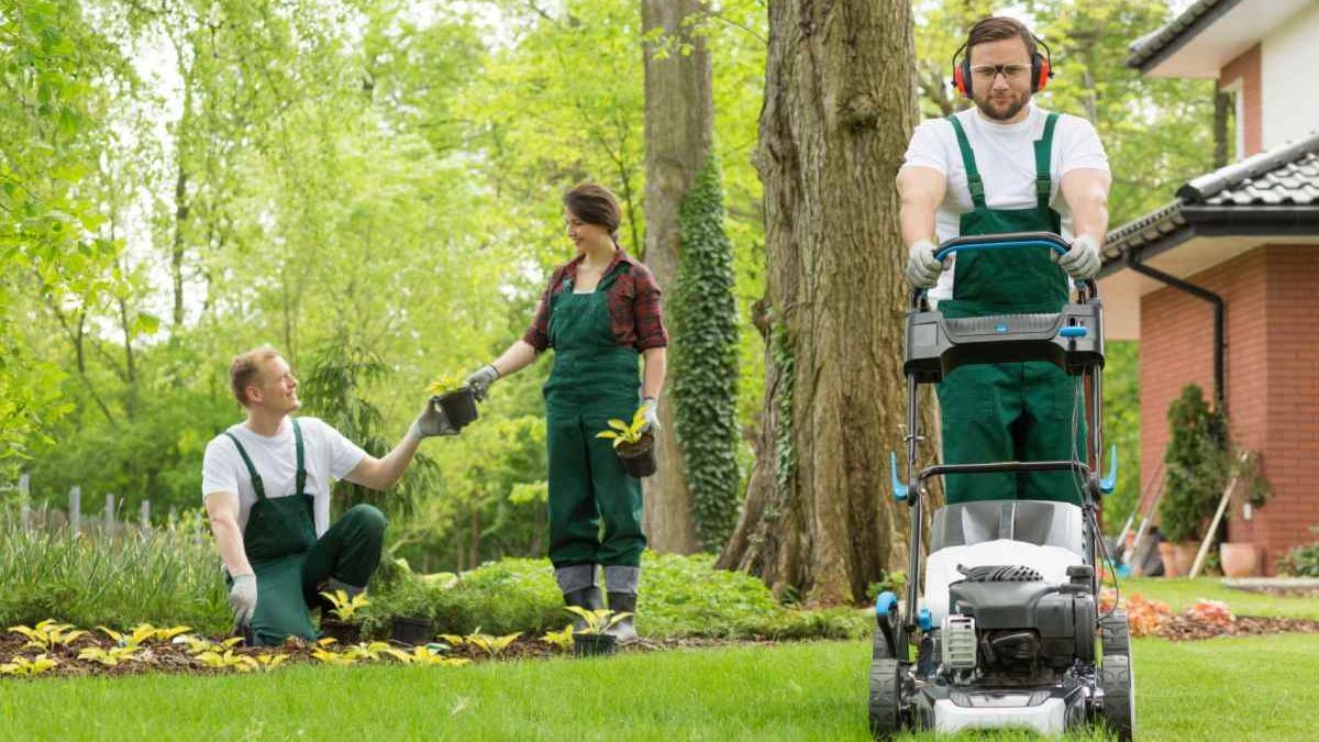 Essential Tools and Equipment for Efficient Yard Work