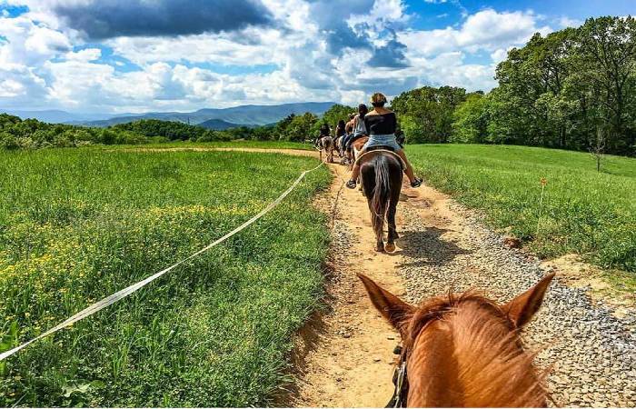 horse ride