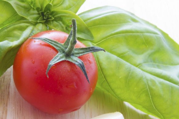 The Importance of Calcium for Tomato Plants