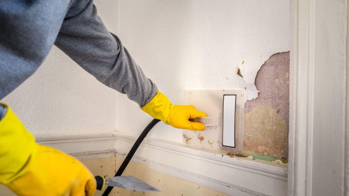 Tackling Common Mould Hotspots in Homes