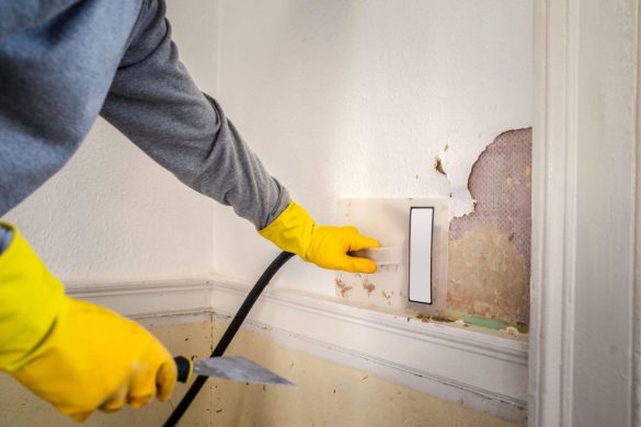 Mould Hotspots in Homes
