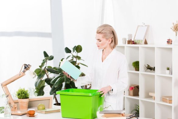 How To Set Up a Green Business From Scratch