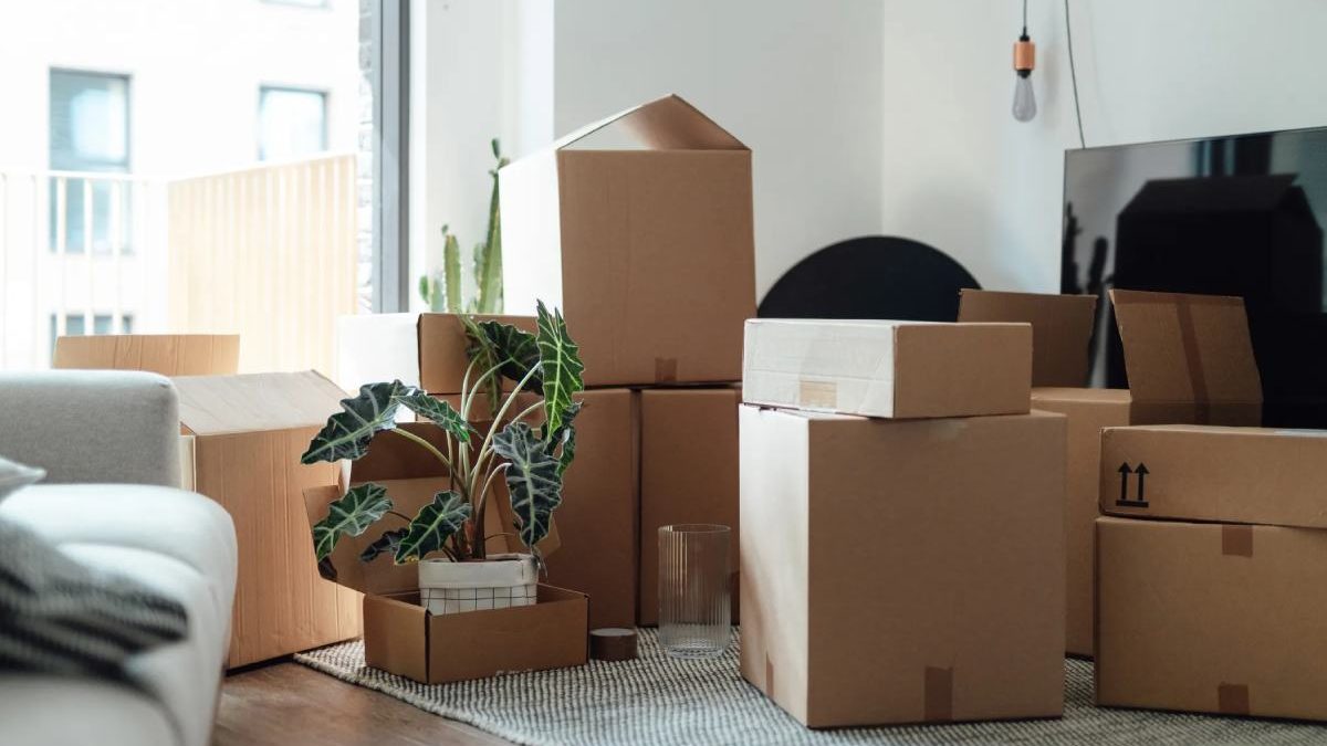 The Art of Unpacking: A Comprehensive Guide to Efficiently Settling Into Your New Home