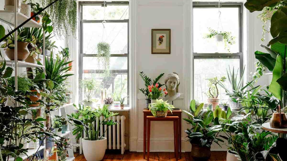 Green chic: incorporating the latest trending plants into modern indoor spaces