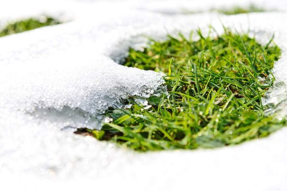 Is it Possible to Keep Your Grass Green in the Winter_