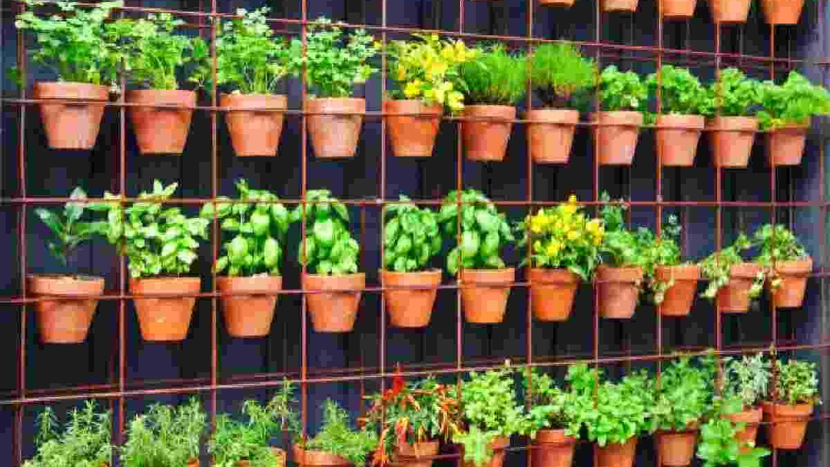 What to Know about Container and Vertical Gardening Techniques