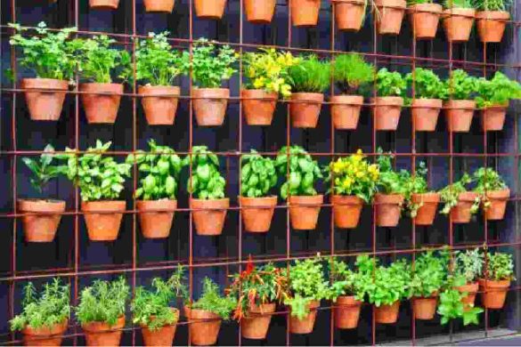 What to Know about Container and Vertical Gardening Techniques
