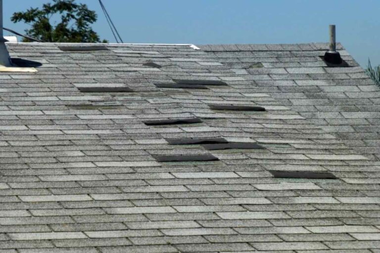 Roof Problems