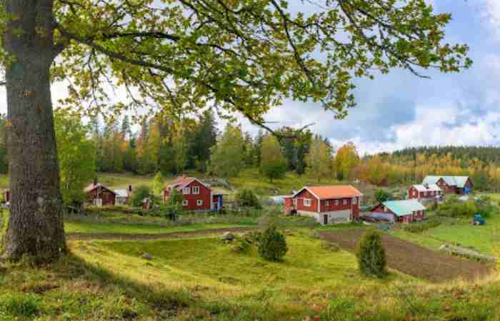 The Financial Reality: What It Really Costs