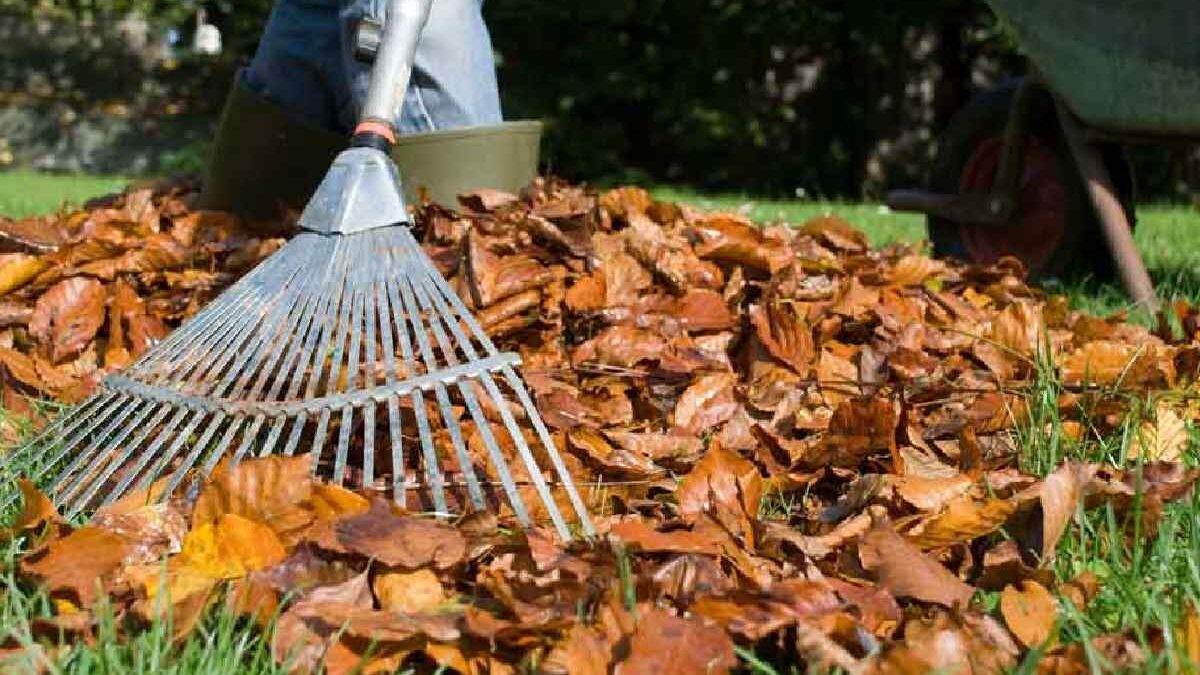 Preparing Your Lawn and Garden for Fall