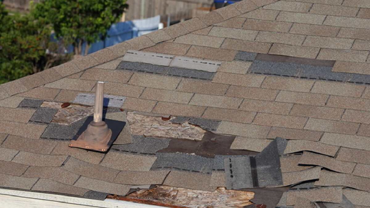 Shingle Roof Repair vs. Replacement: Which Is Right for Your Roof?