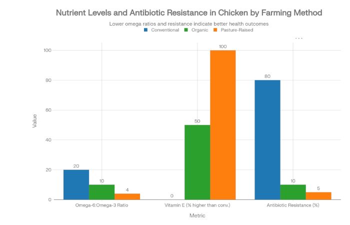 Organic Food is Better for Your Health 