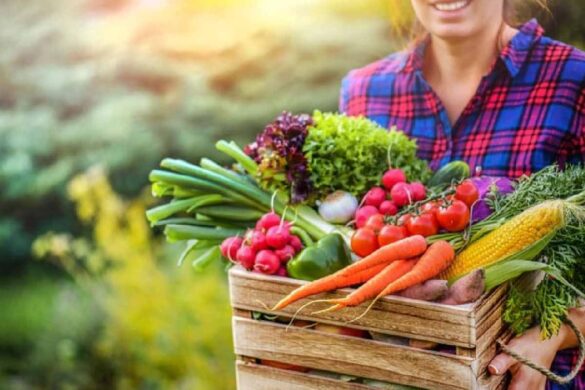 Organic Food is Better for Your Health