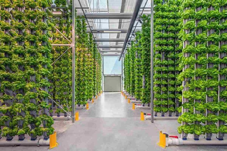 Agribusiness