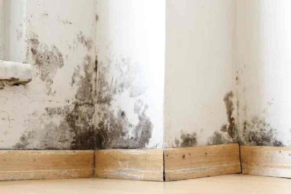 Mould Hotspots in Homes
