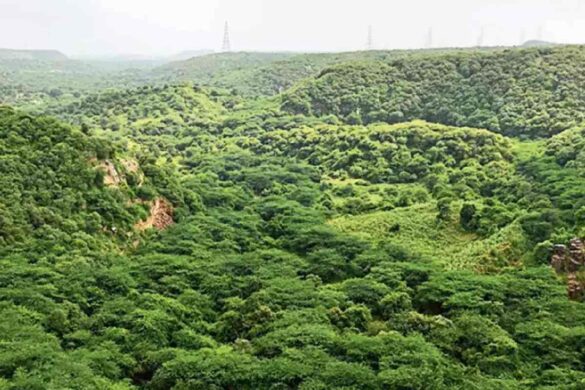 Improve The Ecosystem