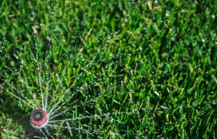 Garden Hose vs Sprinkler System