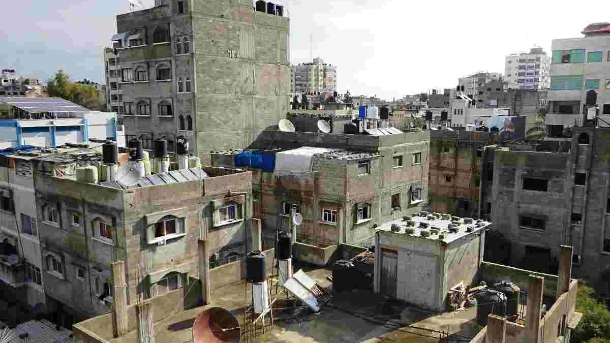 Cultivating Hope: A Glimpse into Sustainable Living in Gaza