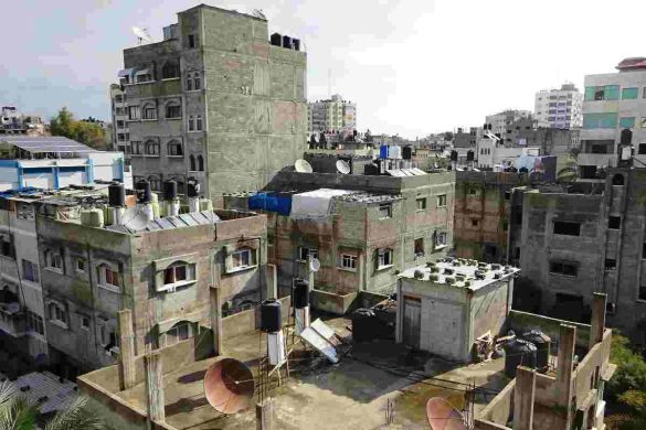 Cultivating Hope: A Glimpse into Sustainable Living in Gaza