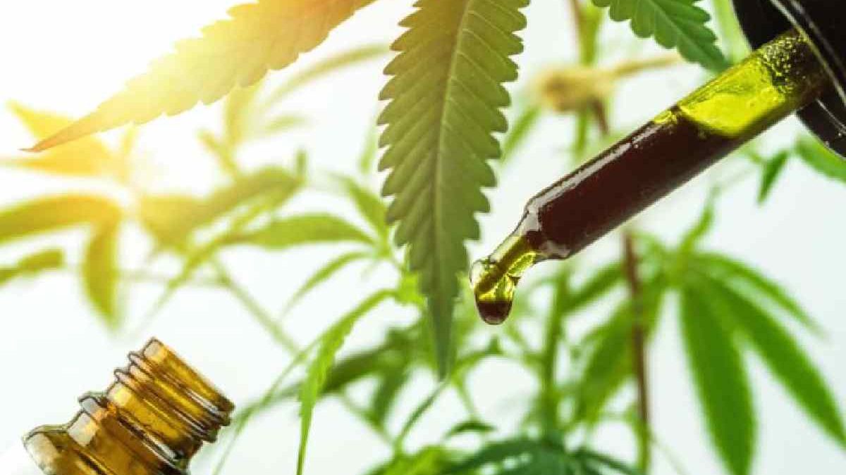 Full-spectrum CBD: Do You Really Need It?