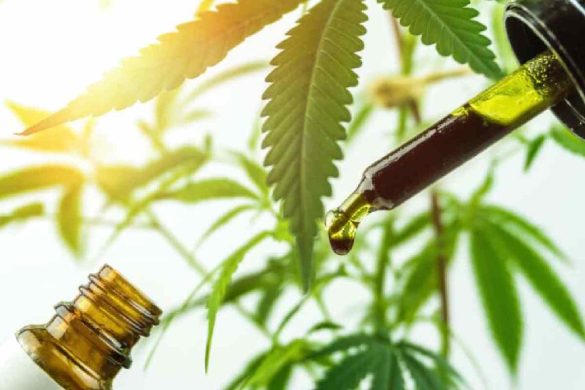 Full-spectrum CBD: Do You Really Need It?
