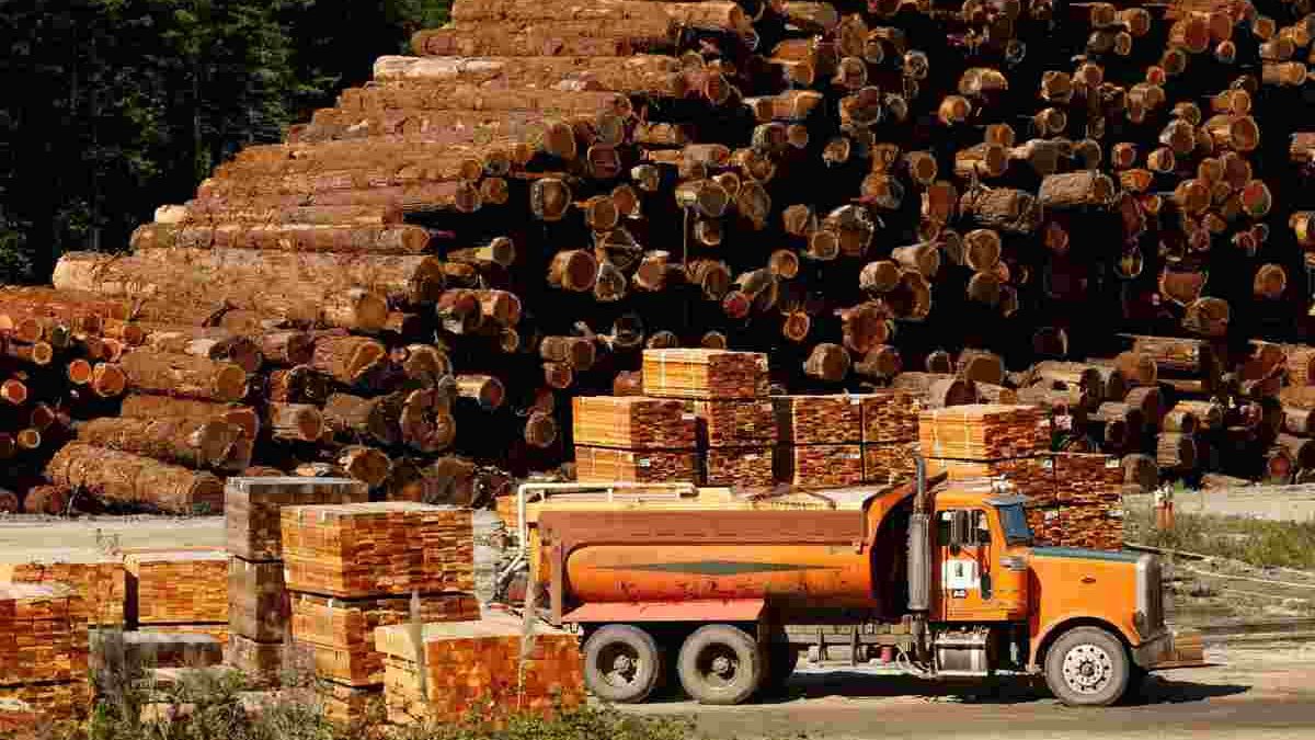 Navigating the Lumber Market: Strategies for Effective Estimating