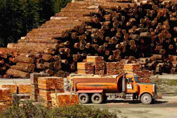 Navigating the Lumber Market: Strategies for Effective Estimating