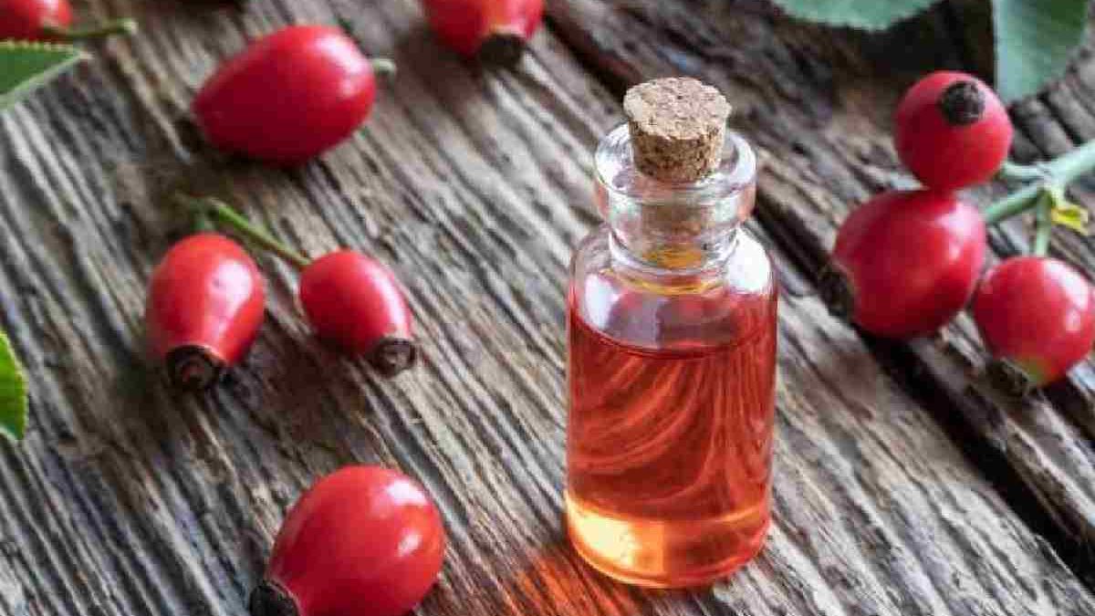 What is Rosehip Oil? – Benefits and Properties, and More