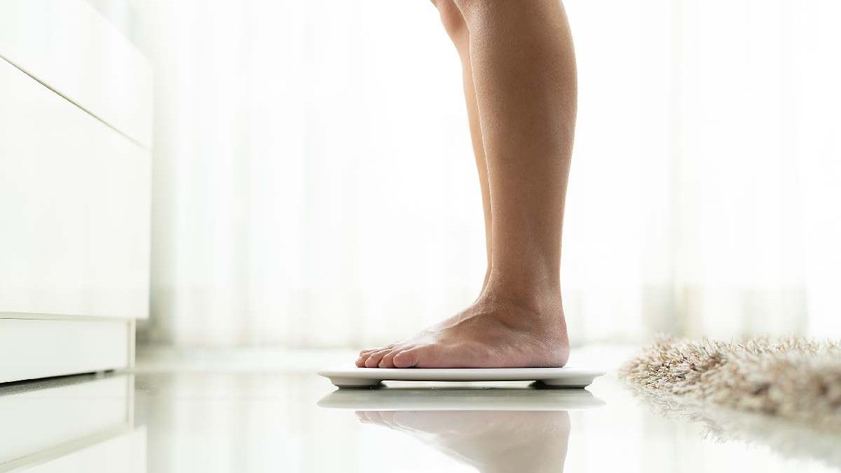 What Is Scale? – Types and More