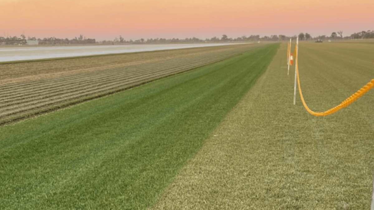 Is it Possible to Keep Your Grass Green in the Winter? 