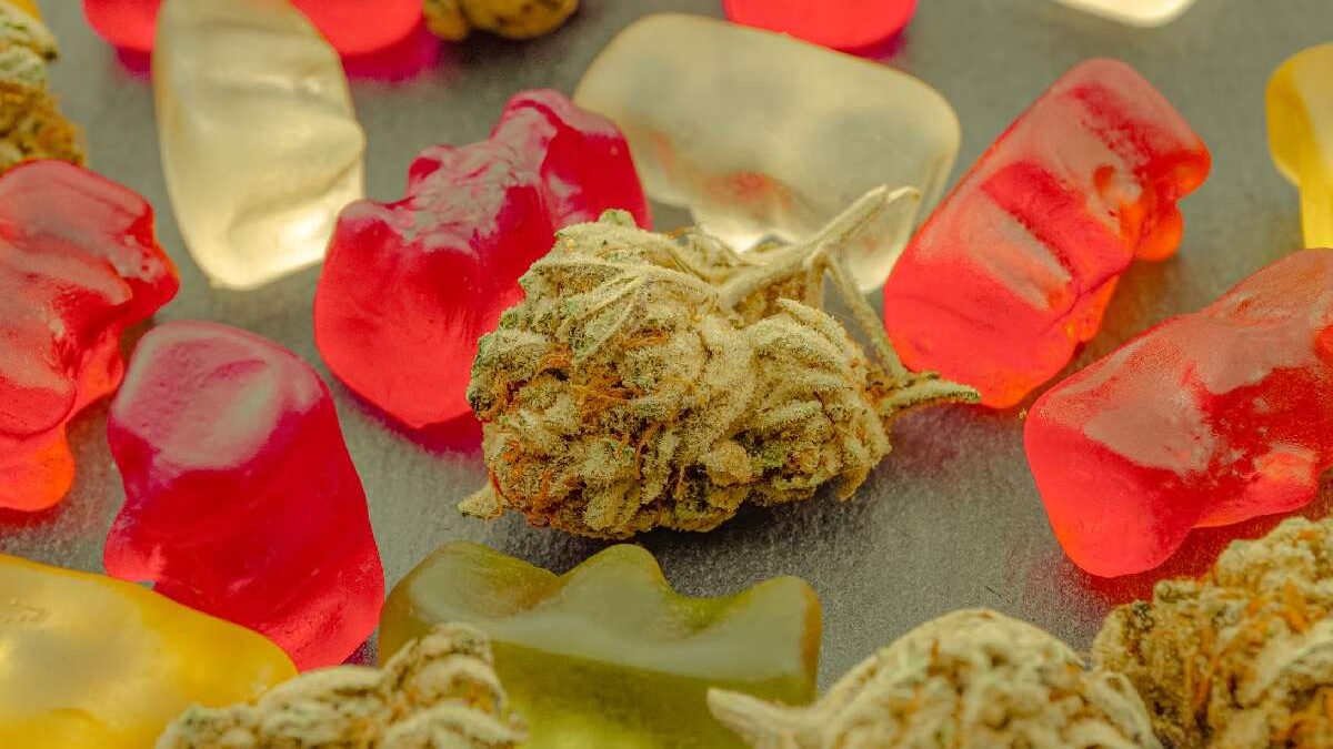 CBD Gummies and the Food Industry: Unwrapping the Affection for this Trendy Treat