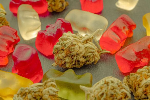 CBD Gummies and the Food Industry