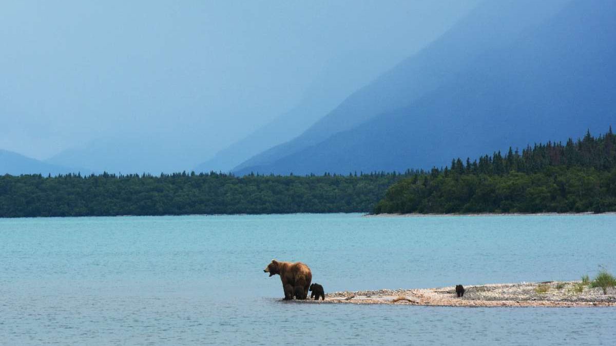 Canadian Wilderness Wonders: Exploring Camping and Fishing Havens