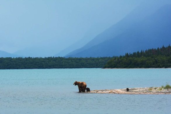 Canadian Wilderness Wonders