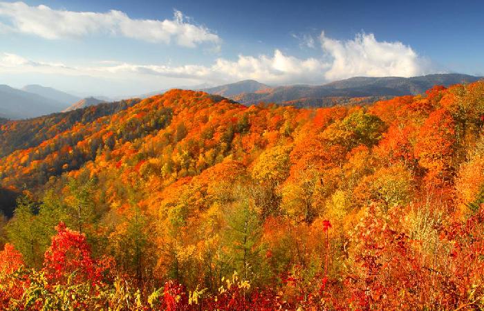 Fall (September–November)