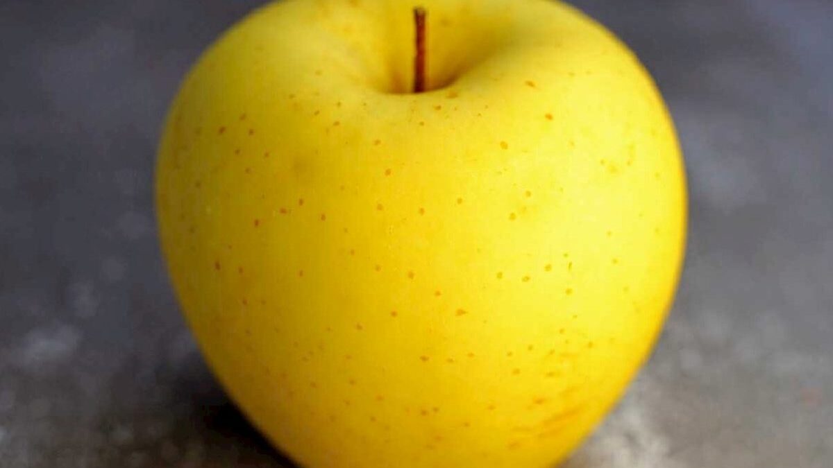 Exploring the Delicious World of Yellow Apples